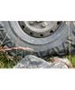 Maxxis M8090 Creepy Crawler купить в KOLOBOX